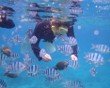 ＭａｌＤｉｖｅ