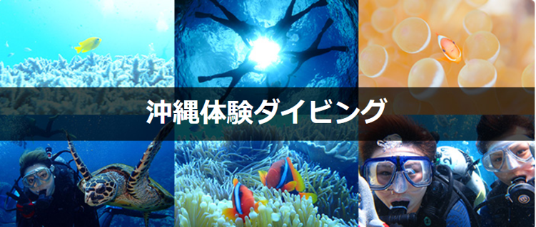 潜水屋
